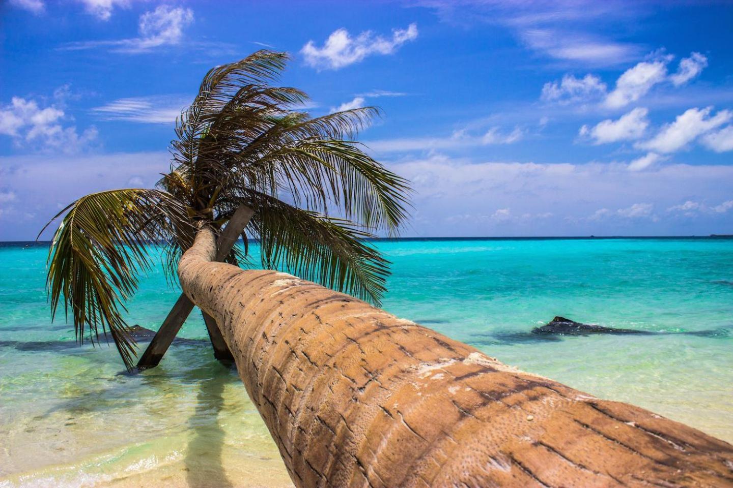 Ci-Ritorno View Hotel Maafushi Exterior photo